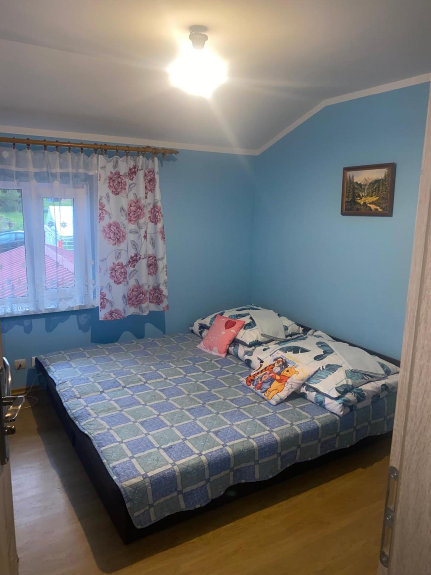 Kwatery Prywatne U Gosi Nad Solina Solina  Esterno foto